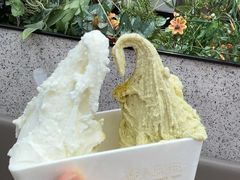 -野人先生Gelato(上海长宁龙之梦店)