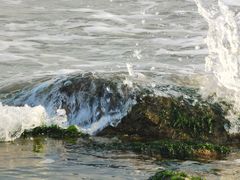 -日照海滨国家森林公园