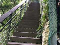 -太鲁阁公园