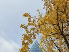 -百林公园-两江幸福广场