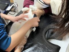 -瑞派康怡24h宠物医院·犬猫医疗中心·微创绝育(瑞景分院)