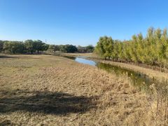 -北京麋鹿生态实验中心