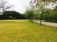 -南沙蒲洲花园