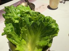 -西塔老太太泥炉烤肉(望京一店)