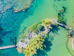 -靖西鹅泉风景区