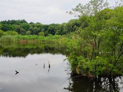 -西湖风景区-江洋畈生态公园