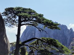 -黄山玉屏楼宾馆餐厅