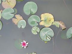 -龙潭水乡