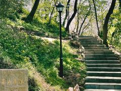 -句容茅山景区