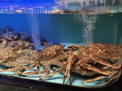 -阿伟海鲜楼·福建菜(延寿店)