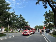 -日照海滨国家森林公园