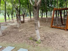 -大兴滨河森林公园