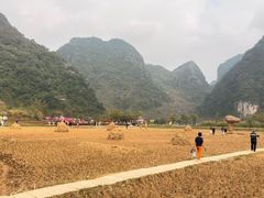 -靖西鹅泉风景区