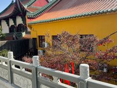 -宝通禅寺