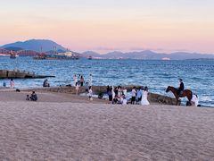 -玫瑰海岸文化旅游度假区