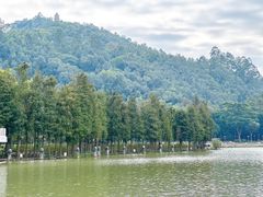 -顺峰山公园