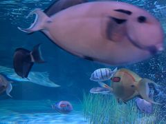 -沈阳海洋探索中心