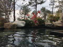 -七彩云南古滇温泉山庄