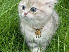 -悠尼宠物·独立低压伊珊娜洗护·美容·寄养(兰谷路店)