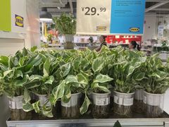 -宜家家居(高新商场店)