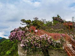 -光雾山旅游景区