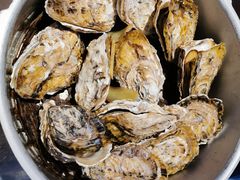 -千岛蚝高压锅生蚝·人参火锅(白云万达店)