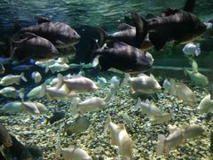 -成都浩海立方海洋公园