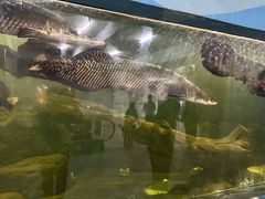 -泉州海丝野生动物世界
