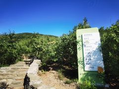 -周口店坡峰岭风景区