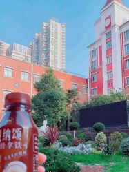 -复旦大学附属妇产科医院(黄浦院区)