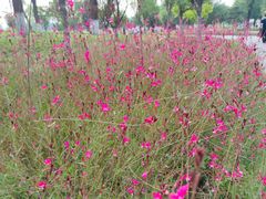 -汉长安城未央宫国家考古遗址公园