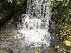 -藏龙百瀑风景区