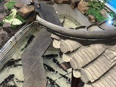 -春盛渔府(牛首山店)
