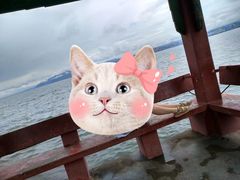 -大理洱海