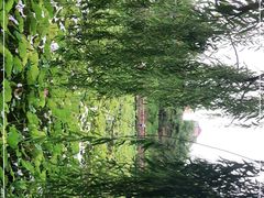 -迎泽公园