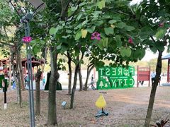-聚龙山公园