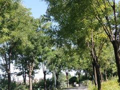 -河北省园博园