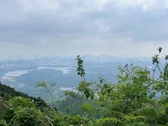 -阳台山森林公园