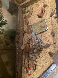 -造物庄园 萌宠纪(苏州湾歌林公园店)