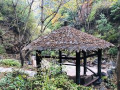 -九龙潭景区