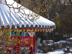 -八大处公园