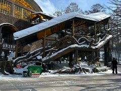 -横道河子东北虎林园
