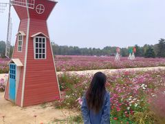 -日照灯塔风景区