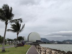 -野狸岛