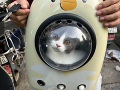 -联合动物医院(光谷诊疗中心)