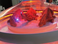 -侏罗纪世界电影特展(广州站)