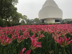 -上海鲜花港