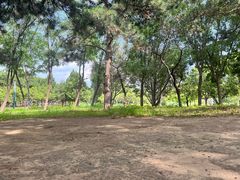 -太阳宫公园