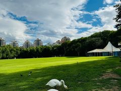 -银树楼(紫玉山庄东区店)