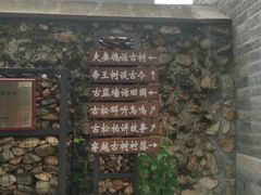 -康陵正德春饼宴26号